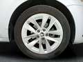 Skoda Octavia 2.0TDI Selection DSG 110kW Plateado - thumbnail 19