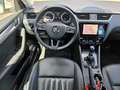 Skoda Octavia Combi 2.0 TDI DSG Premium Edition Weiß - thumbnail 12