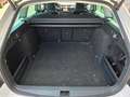 Skoda Octavia Combi 2.0 TDI DSG Premium Edition Weiß - thumbnail 19