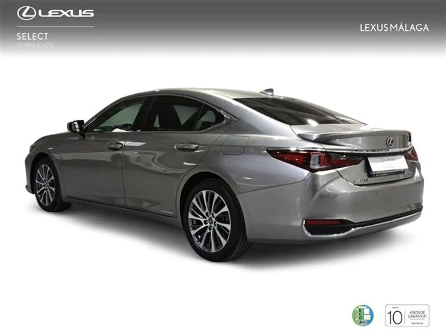 Lexus ES 300 300h Business - 2
