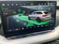 Skoda Octavia Selection TDI Silber - thumbnail 9