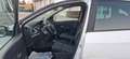 Renault Clio Grandtour 1,5DCI *1.HAND*TEMPO* Blanc - thumbnail 10