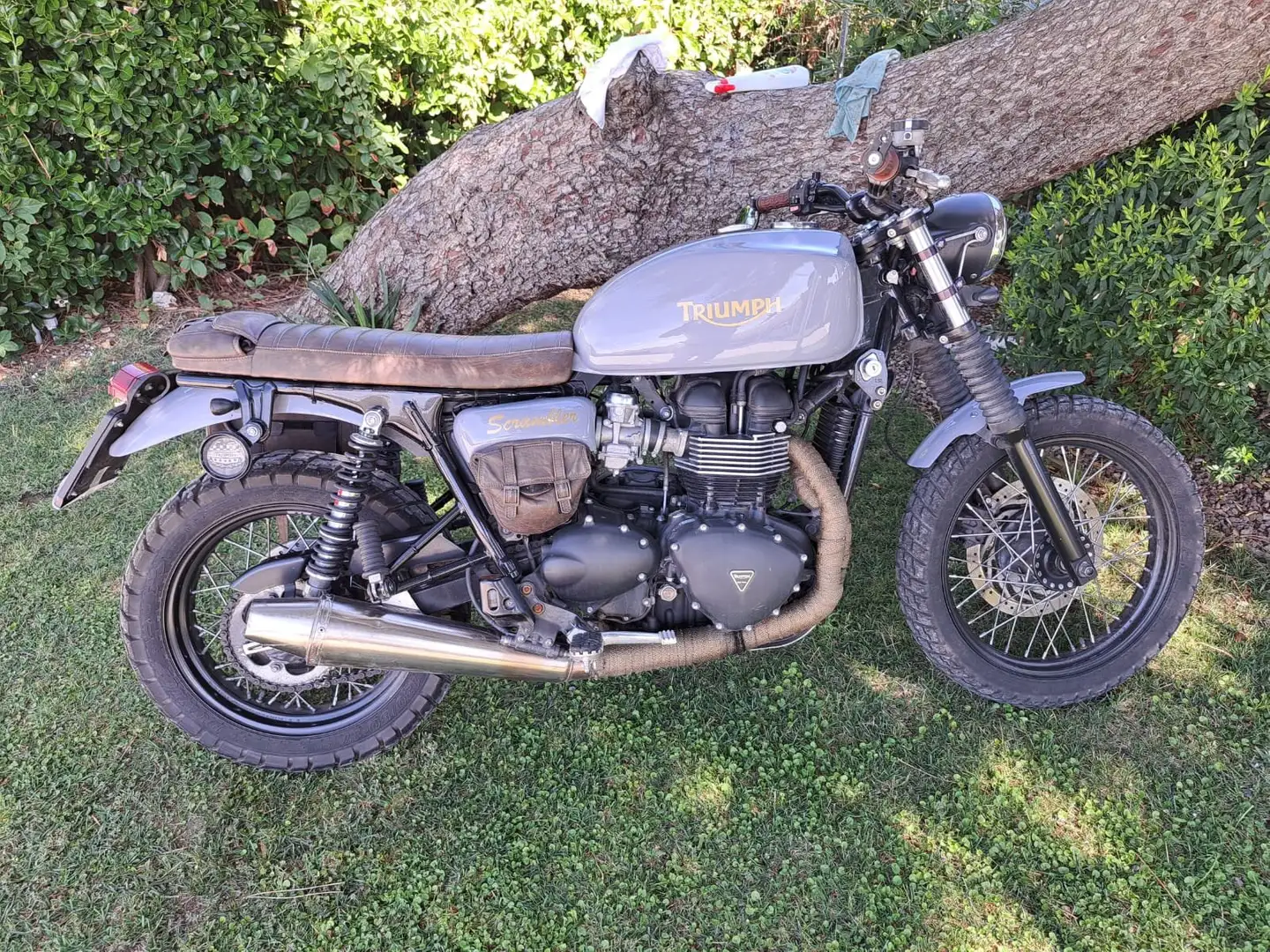 Triumph Scrambler 900 c Сірий - 1