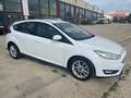 Ford Focus 1.5TDCi Sport 120 Wit - thumbnail 3