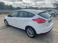 Ford Focus 1.5TDCi Sport 120 Wit - thumbnail 5