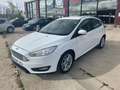 Ford Focus 1.5TDCi Sport 120 Wit - thumbnail 1