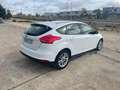 Ford Focus 1.5TDCi Sport 120 Wit - thumbnail 4