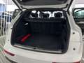 Audi Sonstige Black line 35 TDI 120kW S tronic Weiß - thumbnail 11