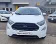 Ford EcoSport 1.0 ecoboost ST-Line s&s 125cv Bianco - thumbnail 2