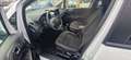 Ford EcoSport 1.0 ecoboost ST-Line s&s 125cv Bianco - thumbnail 9