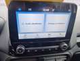 Ford EcoSport 1.0 ecoboost ST-Line s&s 125cv Bianco - thumbnail 13