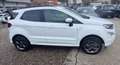 Ford EcoSport 1.0 ecoboost ST-Line s&s 125cv Bianco - thumbnail 4