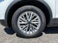 Volkswagen T-Roc 1.0 tsi Style 110cv Bianco - thumbnail 4