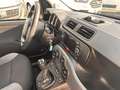 Fiat New Panda VAN 1.0 hybrid 2 posti Weiß - thumbnail 9