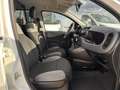 Fiat New Panda VAN 1.0 hybrid 2 posti Weiß - thumbnail 7