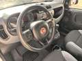 Fiat New Panda VAN 1.0 hybrid 2 posti Weiß - thumbnail 5