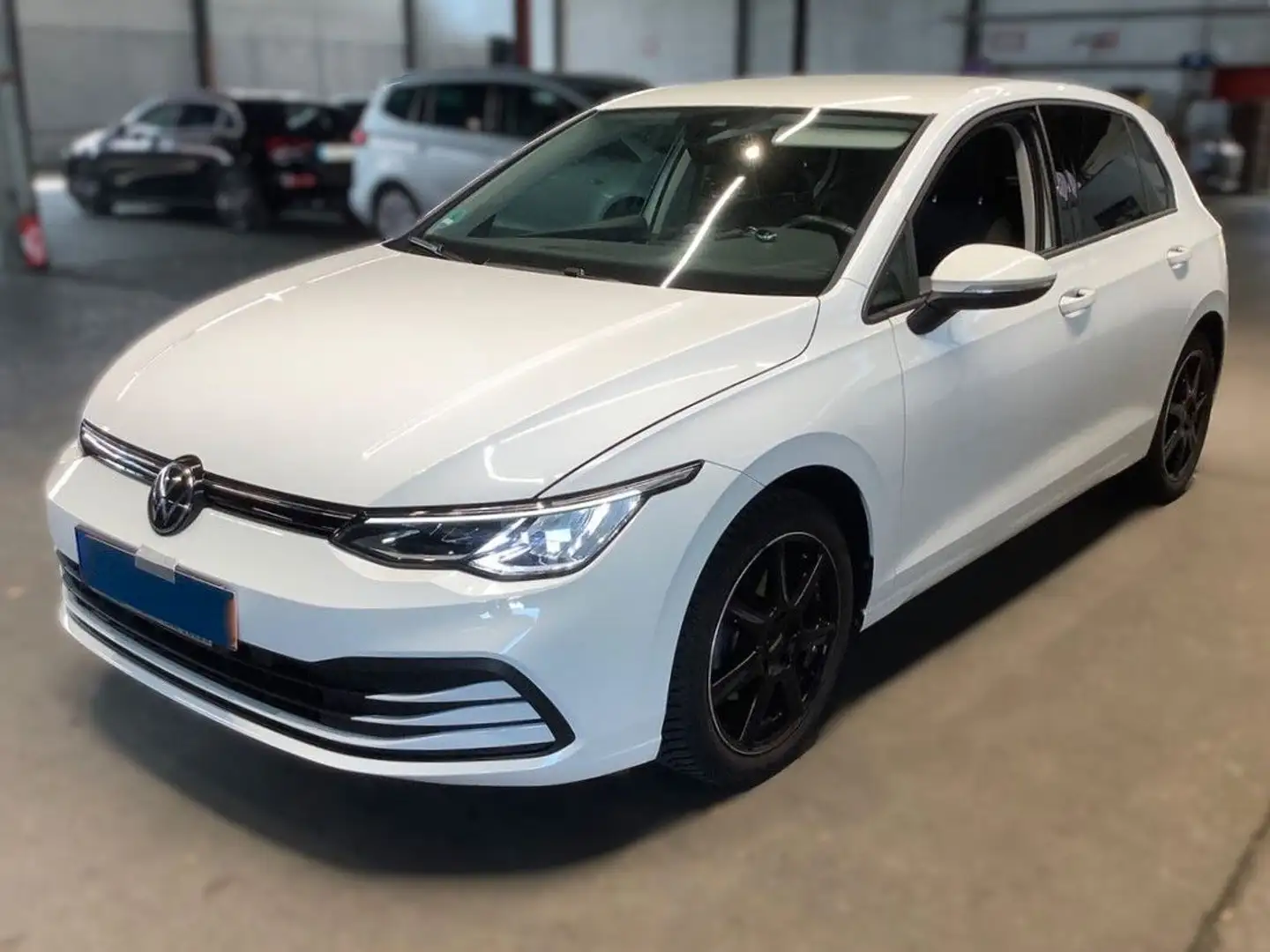 Volkswagen Golf VIII 1.5 TSI Life | LED | RückfK | behLenkr Weiß - 1