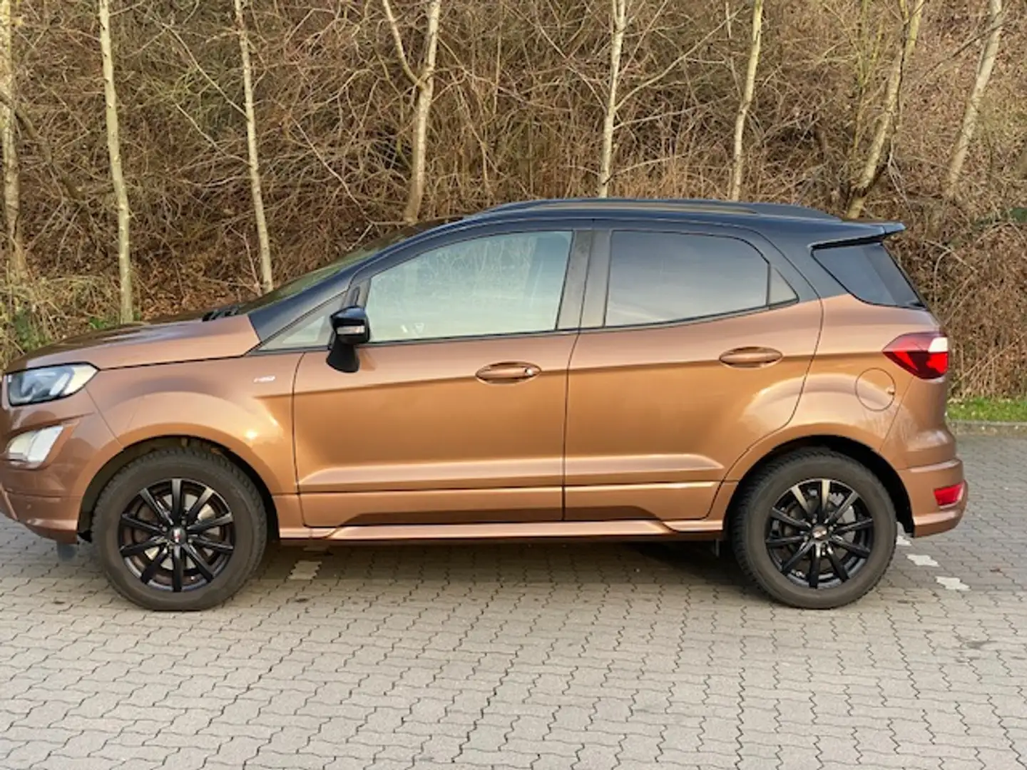 Ford EcoSport ECOSPORT 1.0 EcoBoost ST-LINE Bronze - 2