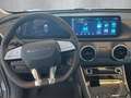 DFSK Sonstige 5 Exclusive 1.5 GDI Sitzh. 130 kW Grau - thumbnail 14