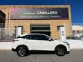 Nissan Qashqai 1.3 DIG-T mHEV 12V Acenta 4x2 103kW Bianco - thumbnail 5
