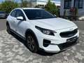 Kia XCeed Vision PHEV Plug-in Hybrid LED SHZ CAM Blanco - thumbnail 2