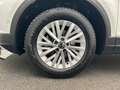 Volkswagen T-Roc 1.0 TSI LIFE*LED*DIGITAL*NAVI*PDC*SHZ*16ZO Bianco - thumbnail 4