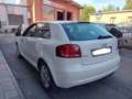 Audi A3 3p 1.6 tdi Attraction *UNICO PROPRIETARIO* Bianco - thumbnail 6