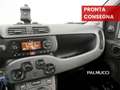 Fiat Panda Panda 1.0 FireFly S&S Hybrid City Life - thumbnail 8