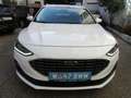 Ford Focus Titanium Weiß - thumbnail 2
