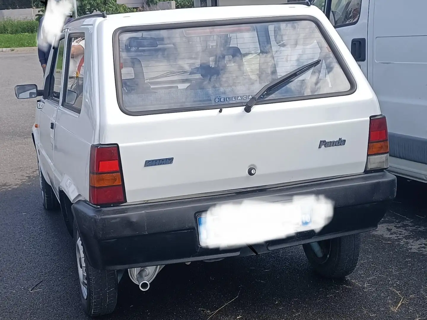 Fiat Panda Panda 1.1 College Bianco - 2