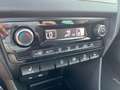 Skoda Rapid/Spaceback Rapid Spaceback 1.0 TSI Drive Rot - thumbnail 15