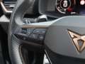 CUPRA Formentor 2.0 TSI DSG VZ AHK/Navi/360°Kamera Schwarz - thumbnail 15