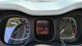 Fiat Panda 1.0 FireFly S&S Hybrid City Cross Verde - thumbnail 5