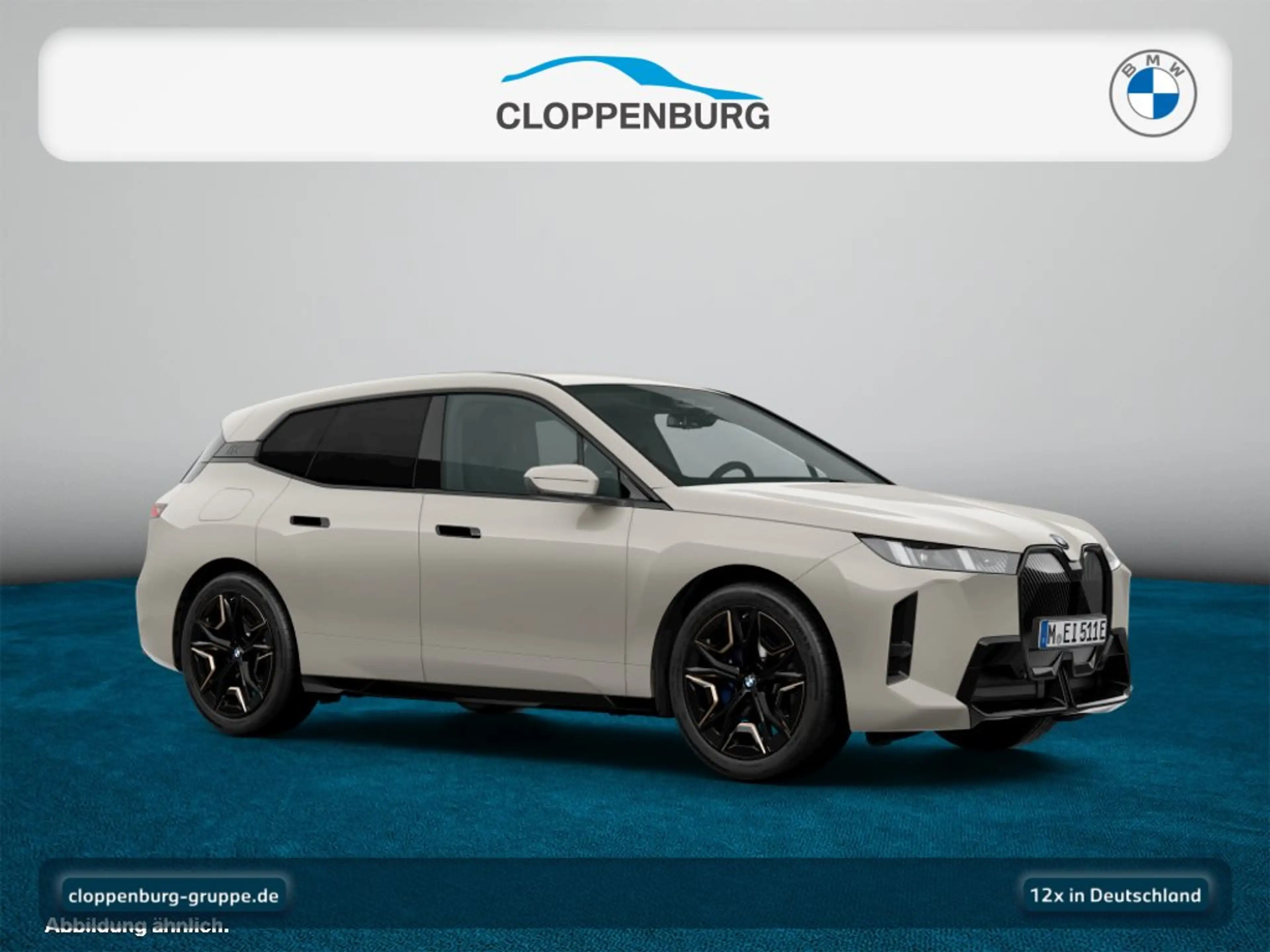BMW iX xDrive45 Head-Up+AHK+StKlima+Navi+ACC+SiKlima — photo 10