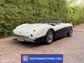Austin-Healey 100 100M | 1956 | Route 66 Auctions Чорний - thumbnail 6