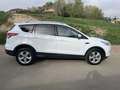 Ford Kuga 2.0TDCi Titanium 4x2 140 Blanco - thumbnail 3