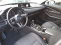 Mazda CX-30 2.0L e-Skyactiv-G 150cv M Hybrid 6AT Homura Beige - thumbnail 7