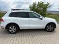 Volkswagen Touareg Touareg Diesel 3.0 V6 TDI SCR Blue Motion DPF Auto Alb - thumbnail 3