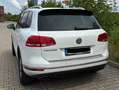 Volkswagen Touareg Touareg Diesel 3.0 V6 TDI SCR Blue Motion DPF Auto Alb - thumbnail 2