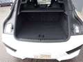 BMW iX 40 xDrive Sport Ultimate, HUD, ACC, AHK, Pano Weiß - thumbnail 22