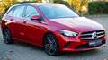 Mercedes-Benz B 250 B 250 (247.086) NAVI/LED/SHZ/PDC/KAMERA/ Rot - thumbnail 2