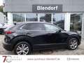Mazda CX-30 Selection 122 Design|Activ|Navi|18" Zoll Schwarz - thumbnail 7
