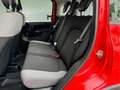 Fiat Panda 1.0 Gse Hybrid Urban Rojo - thumbnail 14