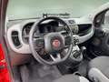Fiat Panda 1.0 Gse Hybrid Urban Rojo - thumbnail 7