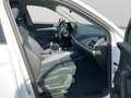 Audi Q5 40 TDI Q S LINE AHK NAVI+ LEDER KAMERA Weiß - thumbnail 4