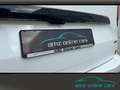 Ford Tourneo Custom Titanium X L2 AWD ACC*LED*AHK*360 Weiß - thumbnail 6