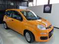 Fiat Panda Fiat Panda 2021 1.0 firefly hybrid s&s 70cv 5p Arancione - thumbnail 2