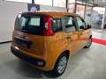 Fiat Panda Fiat Panda 2021 1.0 firefly hybrid s&s 70cv 5p Arancione - thumbnail 4