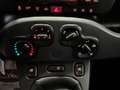 Fiat Panda Fiat Panda 2021 1.0 firefly hybrid s&s 70cv 5p Arancione - thumbnail 15