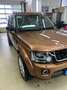 Land Rover Discovery Discovery SD V6 Landmark Brąz - thumbnail 1